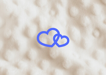 wedding dresses with zola logo in foreground