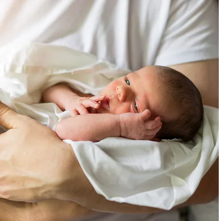 A newborn swaddled in a white blanket, resting in a parent’s arms